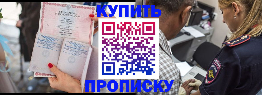 прописка законно в Новгородской области
